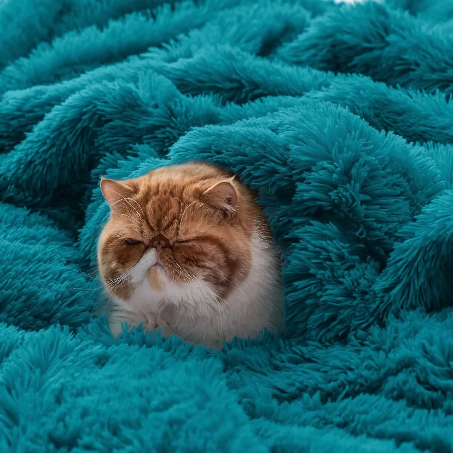 Bedsure Fuzzy Faux Fur Blanket